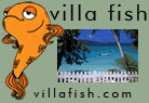 Villa Fish, LLC