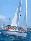 Rumbaba Charters