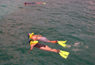 St. Thomas Diving Club