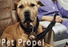 Air Propel Charters