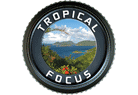Tropical Focus Photography