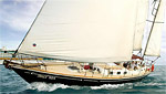 Jolly Mon Iguana Sailing Charters