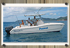 Peanut Gallery Charters