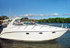True Companion Power Yacht
