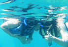 Virgin Islands Ecotours