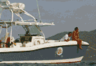Big Blue - V.I. Powerboat Excursions