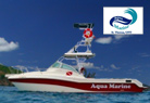 Aqua Marine