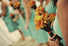 Island Bliss Weddings