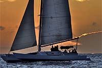 Tribal Daysails