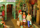 Mongoose Junction