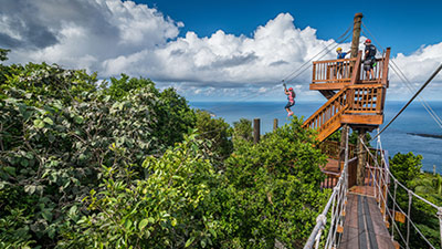 Tree Limin' Extreme Zipline Park