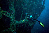 Admiralty Dive Center Admiralty Dive Center