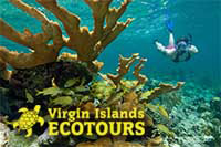 Best of Henley Cay and Caneel Bay Adventure Best of Henley Cay and Caneel Bay Adventure