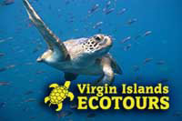 Virgin Islands Ecotours Virgin Islands Ecotours