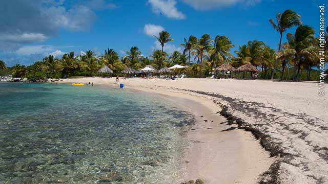 Tamarind Reef Bay St Croix Beaches Virgin Islands Tamarind Reef