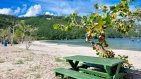 Magens Bay After Hurricanes Irma and Maria