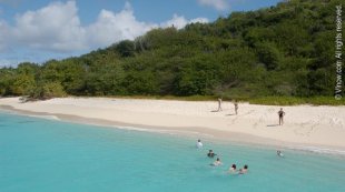 St Croix Beach Guide Virgin Islands Buck Island Beach