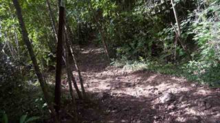 Lind Point Trail, St. John