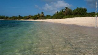 Shoy's, St. Croix