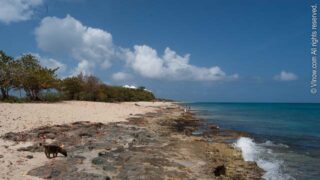 Dorsch (Sandcastle Beach), St. Croix