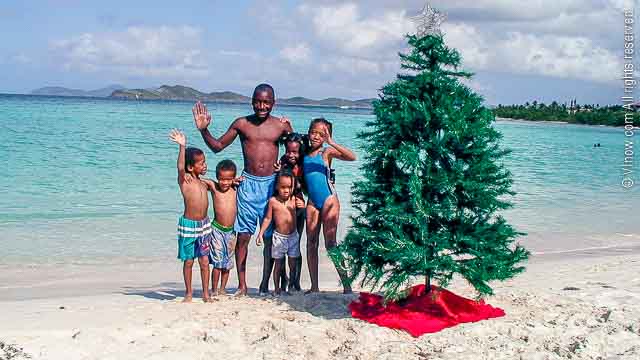 Christmas Tree Virgin Islands