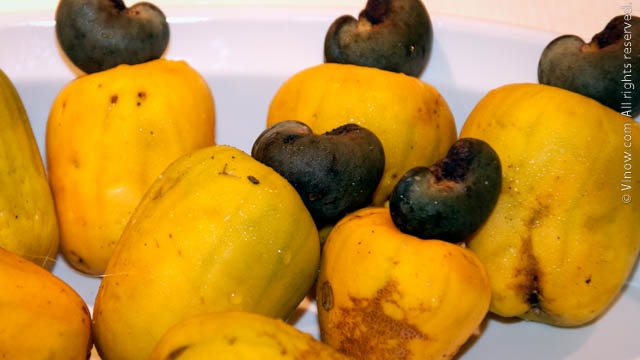 Cashew fruit