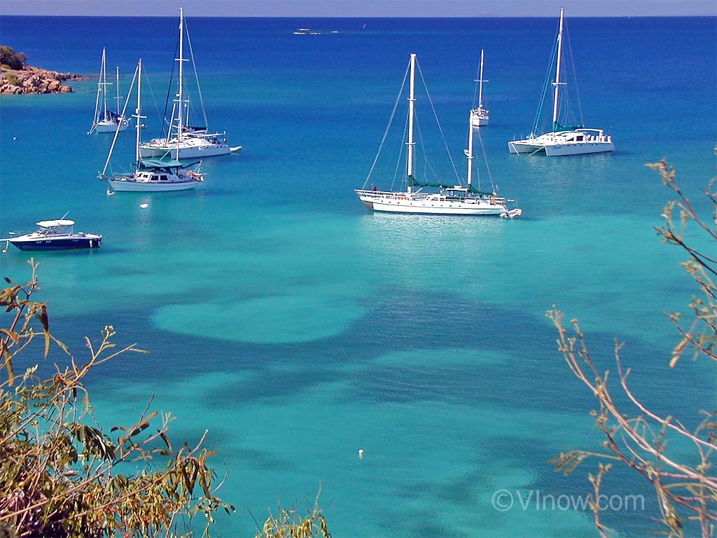 A vi 6 2. Американские Виргинские острова-животный мир. Water Island - USVI. Аки-нда море. Bluewaters Island.