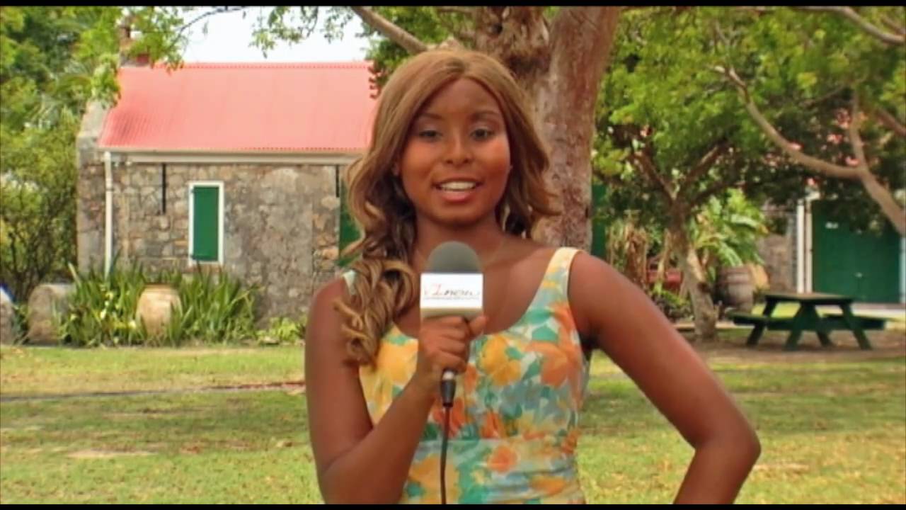 Video Estate Whim Museum, St. Croix