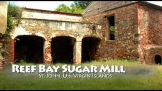 video St. John, Virgin Islands – Lameshur and Reef Bay Trail