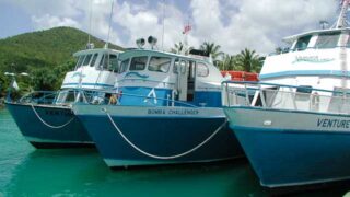 Ferry Boats, St. John