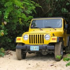 Jeep Rental / Car Rental