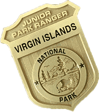 Junior Park Ranger - Virgin Islands National Park