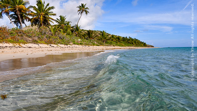 Zoni Beach