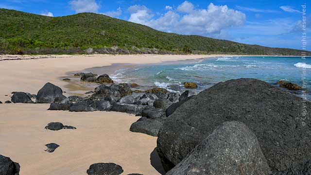 Culebra Charter Boat