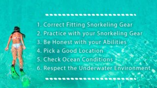 Essentials for First Time Snorkelers