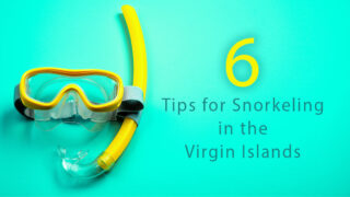 Six Tips for Snorkeling in the Virgin Islands
