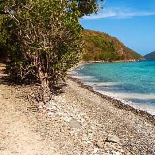 St. John Hiking Tours