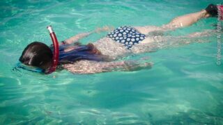 Snorkeling St. Thomas